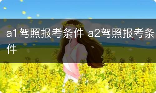 a1驾照报考条件 a2驾照报考条件