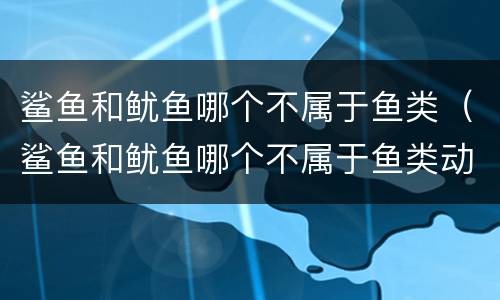 鲨鱼和鱿鱼哪个不属于鱼类（鲨鱼和鱿鱼哪个不属于鱼类动物）