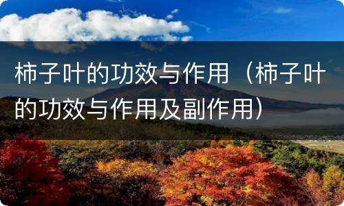 柿子叶的功效与作用（柿子叶的功效与作用及副作用）