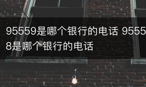 95559是哪个银行的电话 95558是哪个银行的电话