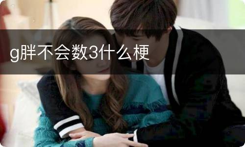 g胖不会数3什么梗