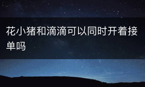 花小猪和滴滴可以同时开着接单吗