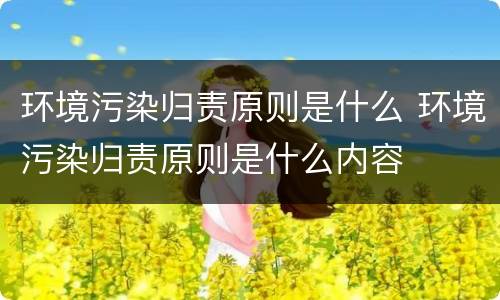 环境污染归责原则是什么 环境污染归责原则是什么内容