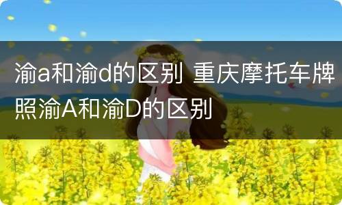 渝a和渝d的区别 重庆摩托车牌照渝A和渝D的区别