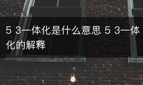 5 3一体化是什么意思 5 3一体化的解释