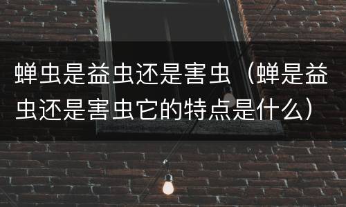 蝉虫是益虫还是害虫（蝉是益虫还是害虫它的特点是什么）