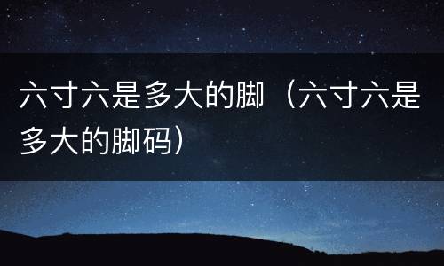 六寸六是多大的脚（六寸六是多大的脚码）