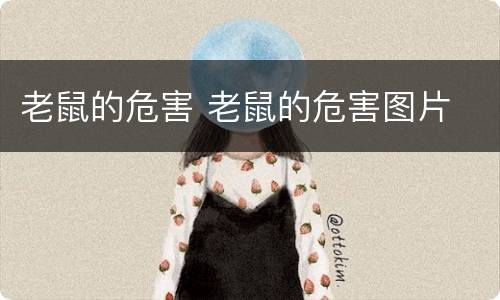 老鼠的危害 老鼠的危害图片