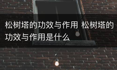 松树塔的功效与作用 松树塔的功效与作用是什么