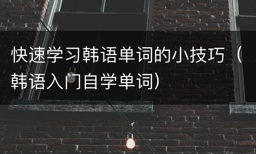 快速学习韩语单词的小技巧（韩语入门自学单词）