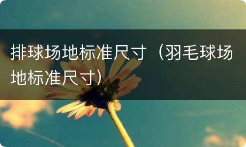 排球场地标准尺寸（羽毛球场地标准尺寸）