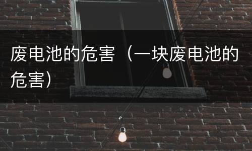 废电池的危害（一块废电池的危害）