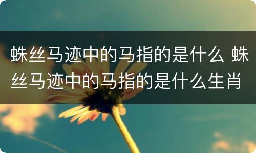 蛛丝马迹中的马指的是什么 蛛丝马迹中的马指的是什么生肖