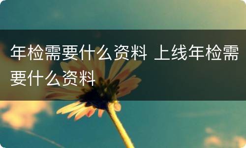 年检需要什么资料 上线年检需要什么资料
