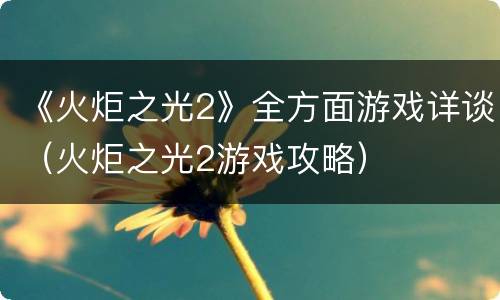 《火炬之光2》全方面游戏详谈（火炬之光2游戏攻略）