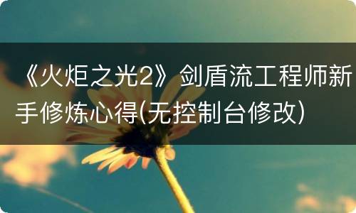 《火炬之光2》剑盾流工程师新手修炼心得(无控制台修改)
