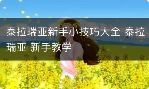 泰拉瑞亚新手小技巧大全 泰拉瑞亚 新手教学